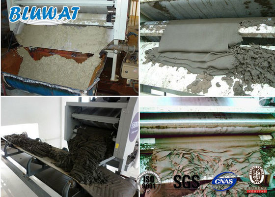 kupować Odwadnianie osadu Kationowy poliakrylamid CPAM Blufloc SGS BV Certyfikowany produkcja internetowa