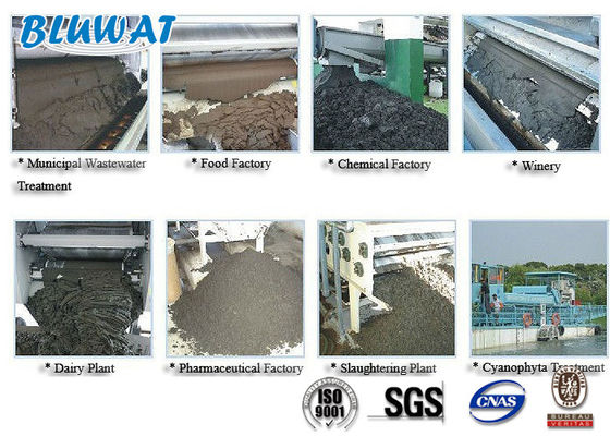 kupować Biały proszek kationowy poliakrylamid do odwadniania osadów produkcja internetowa