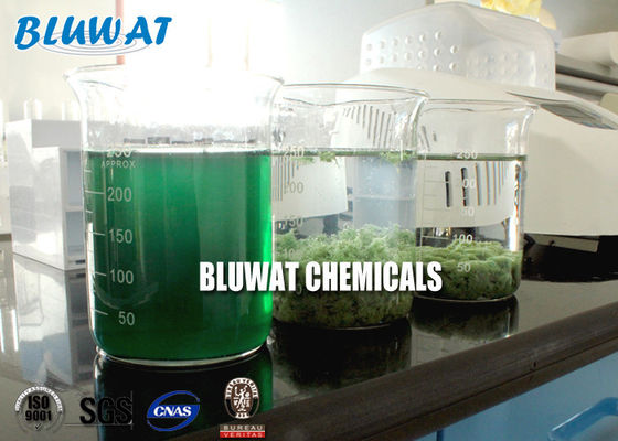 kupować Środek odbarwiający wodę Coagulant Sri Lanka Środowisko farbiarskie do farbowania tkanin produkcja internetowa