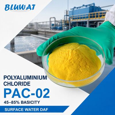 kupić 45-85% Basicity Spray Dry PAC-02 Polyaluminium Chloride for Surface Water DAF Treatment produkcja internetowa
