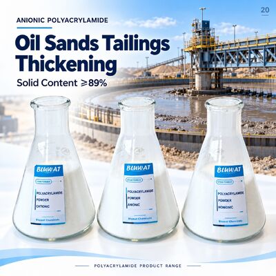 kupić Anionic Polyacrylamide APAM 20-100 Mesh 89% Min Solid for Oil Sands Tailings Thickening CAS 9003-05-8 ISO 9001 Manufacturer 750kg Net Big Bag produkcja internetowa